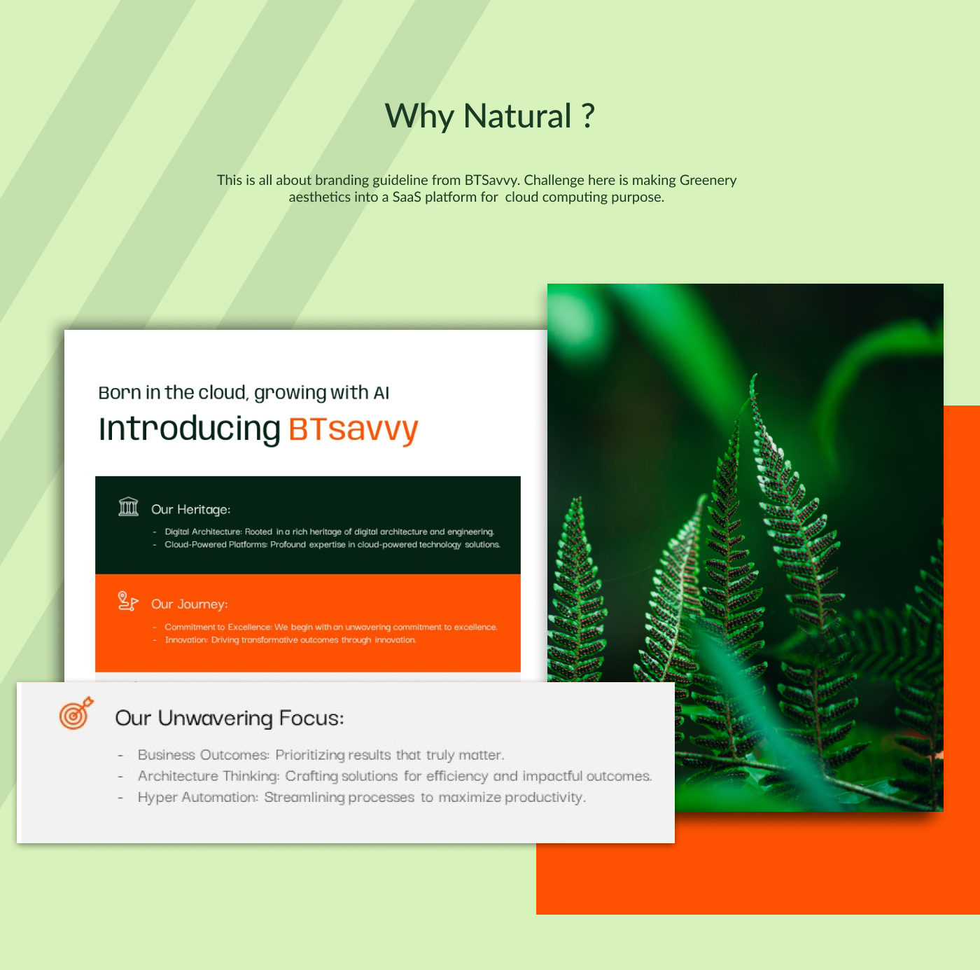 This image appears about introduching BTSavvy and our unweavering focus within 3 slides and a image with some green leaf